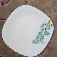 بشقاب پلو خوری