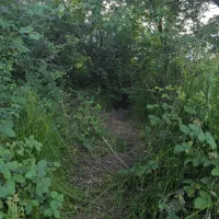 فروش فوری  زمین‌سنددار