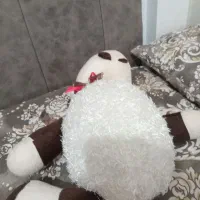 عروسک|اسباببازی بچه|گلبهار, شهر جدید گلبهار|دیوار