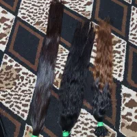 خرید مو بانوان (مهدوی)صادرکننده بدون واسطه|آرایشی، بهداشتی، درمانی|نیشابور, هفده شهریور|دیوار