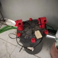 gl 1000دلسا|ماهی|اصفهان, گلزار|دیوار