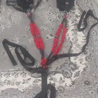 تیاریکس و بانجی
