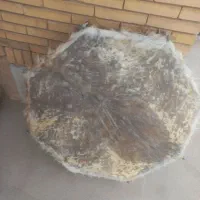 طبل پوستی