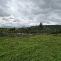 زمین۲۸۵متر کوهستانی جنگلی درمحیطی بکر بامدارک کامل