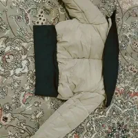 کاپشن دخترانه|لباس|سردشت, |دیوار