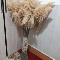 گل پامپاس خشک شده طبیعی و گلدان در حد نو