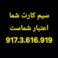 9173616919