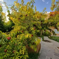 فروش ویلایی دوبلکس در شهر گردشگری افوس|فروش خانه و ویلا|بوئین و میاندشت, |دیوار