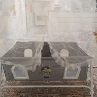 کالسکه وگهواره|کالسکه و لوازم جانبی|تربت‌حیدریه, کلاته توکلی|دیوار