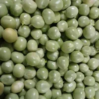 نخود سبز