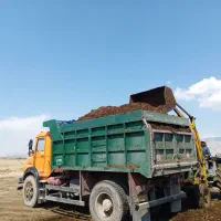 کود گاو و گوسفندی