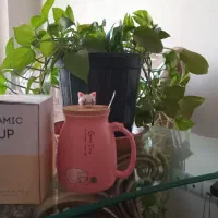 ماگِ سرامیکِ طرح گربه با درب چوبیِ نَشکَن|ظروف سرو و پذیرایی|تهران, مهرآباد|دیوار