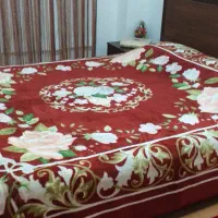 فرش یک ونیم متری و یک متری|فرش|رشت, استقامت ۲|دیوار