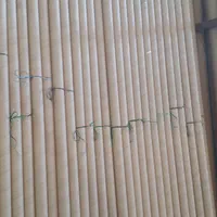 لوله مقوایی|عمده‌فروشی|تبریز, |دیوار