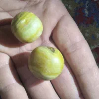 سنگ یا مهر ه|کلکسیون اشیاء عتیقه|شهرکرد, |دیوار