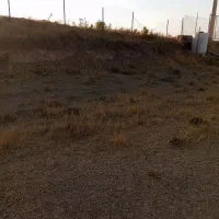 زمین مناسب سرمایه گذاری فروش و تهاتر|فروش زمین و ملک کلنگی|طالقان, |دیوار