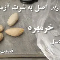 قدمت دار مهره قدیمی