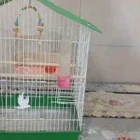 قفس|لوازم جانبی حیوانات|کرج, حصارک پایین|دیوار
