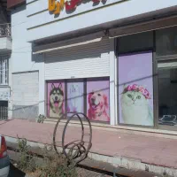 سالن یا کلینیک لوکس بر خیابان|اجارهٔ دفتر کار، اتاق اداری، مطب|اردبیل, |دیوار