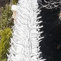 جوشکار co2 و کارگر ساده