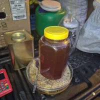 عسل طبیعی  روغن زرد گوسفندی|خوردنی و آشامیدنی|مشهد, جلالیه|دیوار