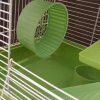 قفس همستر و پرنده|لوازم جانبی حیوانات|تهران, گیشا|دیوار