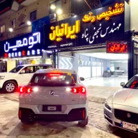 واردات خودرو توسط تشخیص رنگ ایرانیان