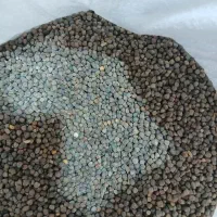 هلر|خوردنی و آشامیدنی|رودشت (چهارمحال و بختیاری), |دیوار