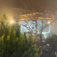 باغ-بورسی-زیر-قیمت-زردنجان