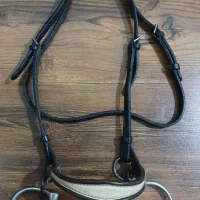 سرکلگی اسب دو منظوره آمریکایی متعلق به ۸۰ سال قبل