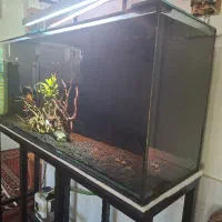 آکواریوم طرح ریملس کاملا مقاوم و شیک