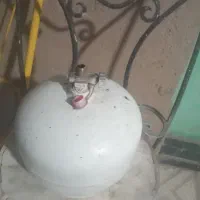 پیک نیک استاندارد