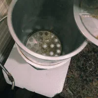 دستگاه بامیه زن|فروشگاه و مغازه|محمدیه-قزوین, |دیوار