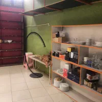 25 متر مغازه اجاره داده میشود|اجارهٔ مغازه و غرفه|میانه, |دیوار