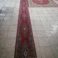 فرش و کناره|فرش|قمصر, |دیوار