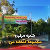 استخدامی صندوقدار گلخانه من