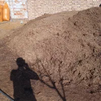 کود گاوی کهنه