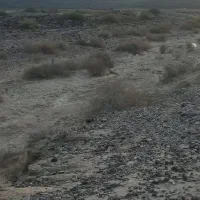 زمین مسکونی