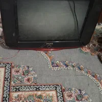 تلویزیون