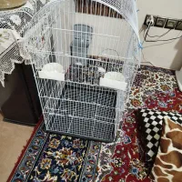 قفس پرنده