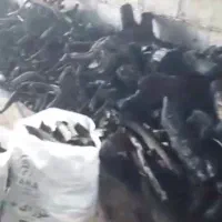 ذغال کبابی|عمدهفروشی|ساری, |دیوار