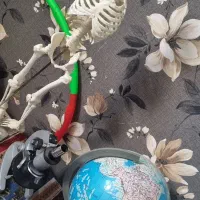 مولار اسکلت و آناتومی بدن میکروسکوپ کره|کلکسیون و سرگرمی|مشهد, دانشگاه فردوسی|دیوار