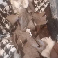 فروش ضایعات پارچه،خرده پارچه