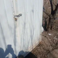 کانکس|مصالح و تجهیزات ساختمان|خوی, |دیوار