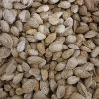 عسل درجه یک منطقه کوهمره سرخی|خوردنی و آشامیدنی|شیراز, فرهنگ شهر|دیوار