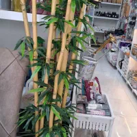 خرید چکی از دکورسرای رویایی در پل ستیر