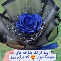 تک شاخه های خوشگل برای روز پدر
