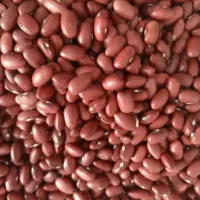 انواع حبوبات لوبیا چیتی قرمز سفید عدس نخود|عمدهفروشی|الیگودرز, |دیوار