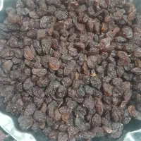 کشمش افتابی بی دانه|عمدهفروشی|تاکستان, |دیوار