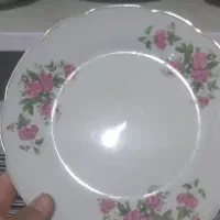 پلو خوری وخورشت خوری